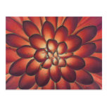 Petals Modern Abstract Floral Fine Art Postcard