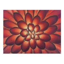 Petals Modern Abstract Floral Fine Art Postcard