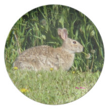 Peter Cotton Tail Dinner Plate
