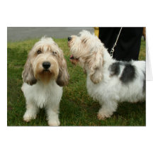 Petit Basette Griffon Vendeen Greeting Cards