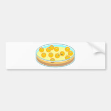 Petri Dish MRSA Bumper Sticker