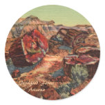 Petrified Forest Arizona stickers