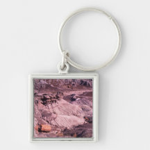 petrified forest key chains