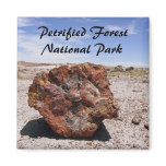 Petrified wood magnets