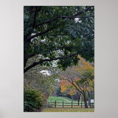 Petrifying Springs Golf Course In Autumn Poster