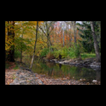 Petrifying Springs Park posters
