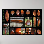 Petroglyph surfboards catalogue page posters