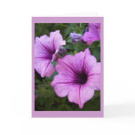Petunia Card Template