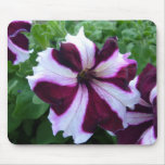 Petunia Mousepad