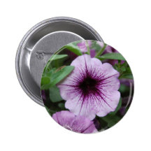 Petunia Plants Button