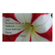 Petunia Profile/Business Card -