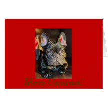 petunia signature 11 28 06, Merry Christmas! Card