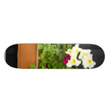 Petunias Hanging In The Pot On The Wooden Wall Skateboards