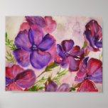 Petunias Poster