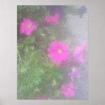 Petunias Print