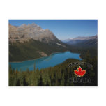 Peyto Lake Product of Canada Postcards