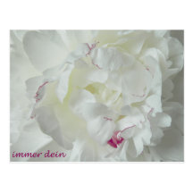 Pfingsten: Immer dein Post Card