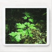 pgoto plant life 2 mouse pad