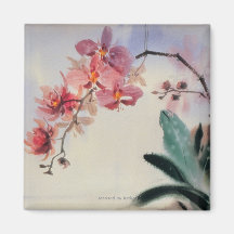 Phalaenopsis Fridge Magnets