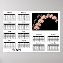 Phalaenopsis orchid - 2009 Calendar Print