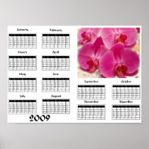 Phalaenopsis orchid - 2009 Calendar Print