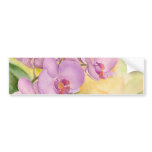 Phalaenopsis Orchid Flowers - Multi bumper stickers