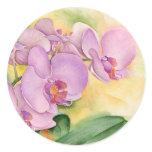Phalaenopsis Orchid Flowers - Multi stickers