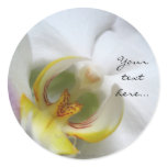 Phalaenopsis Orchid Wedding Invitation Seals stickers