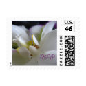 Phalaenopsis Wedding RSVP Postal Square Small postage