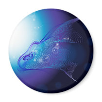 PhantaSea: Vector Illustration: Magnets