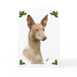Pharaoh 9Y73D-049 cards