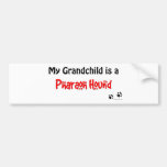 Pharaoh Hound Grandchild Bumper Stickers