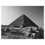 Pharoahs flyers