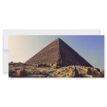 Pharoahs rack cards