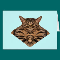 PHAT CAT GREETINGS CARDS cards