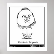 Phattfacia Stupenda. Poster