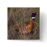 Pheasant  407 buttons