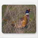 Pheasant  407 mousepads