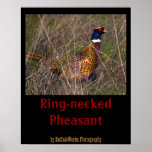 Pheasant  407 posters