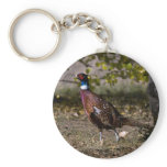 Pheasant  497 keychains