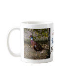 Pheasant  497 mugs
