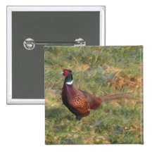 Pheasant Buttons
