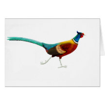 pheasant in colour no sig cards
