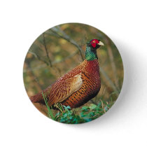 Pheasant in Woodland Buttons