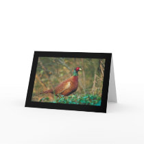 Pheasant in Woodland Cards