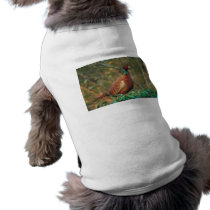 Pheasant in Woodland Dog T Shirt