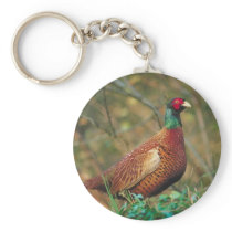 Pheasant in Woodland Keychains