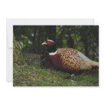 Pheasant Invitation