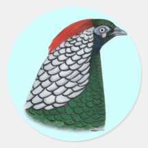 Pheasant:  Lady Amherst Head Stickers