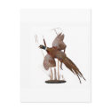 Pheasant Mount postcards